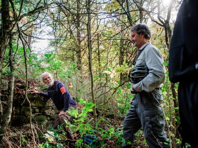 Nith River Forest Hiking Experience